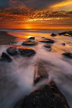 Picture of USA-NEW JERSEY-CAPE MAY NATIONAL SEASHORE SUNRISE ON OCEAN SHORE