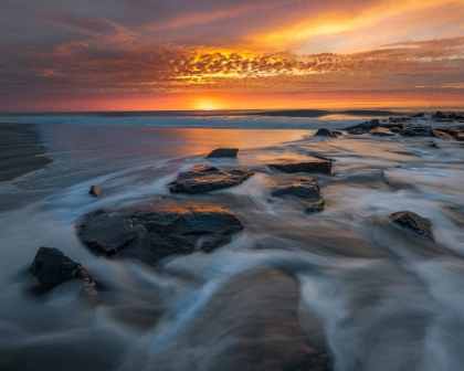 Picture of USA-NEW JERSEY-CAPE MAY NATIONAL SEASHORE SUNRISE ON OCEAN SHORE