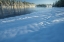 Picture of USA-NEW JERSEY-PINE BARRENS NATIONAL PRESERVE SNOW-COVERED FOREST AND LAKE SHORE