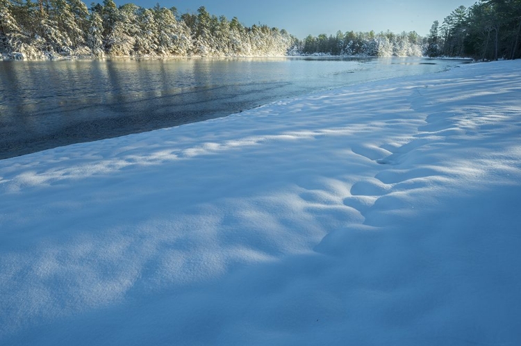 Picture of USA-NEW JERSEY-PINE BARRENS NATIONAL PRESERVE SNOW-COVERED FOREST AND LAKE SHORE
