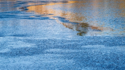 Picture of USA-NEW JERSEY-PINE BARRENS NATIONAL PRESERVE PARTIALLY ICED LAKE AND FOREST REFLECTIONS IN WATER