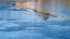 Picture of USA-NEW JERSEY-PINE BARRENS NATIONAL PRESERVE PARTIALLY ICED LAKE AND FOREST REFLECTIONS IN WATER