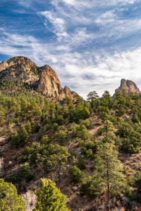 Picture of USA-NEW MEXICO-SANDIA MOUNTAINS-MOUNTAIN AND FOREST LANDSCAPE