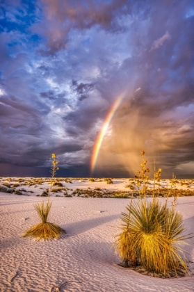 Picture of USA-NEW MEXICO-WHITE SANDS NATIONAL PARK THUNDERSTORM RAINBOW OVER DESERT