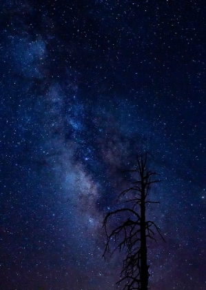 Picture of MILKY WAY OVER THE CARSON NATIONAL FOREST-TRES PIEDRAS-NEW MEXICO