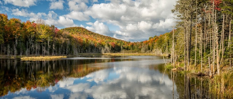 Picture of USA-NEW YORK-ADIRONDACKS AUTUMN AFTERNOON AT RAQUETTE BROOK