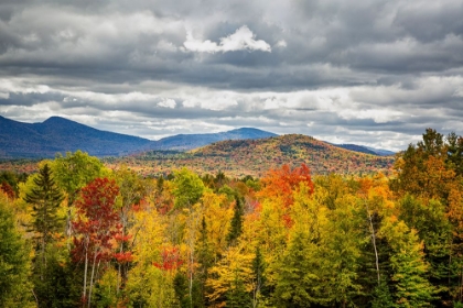 Picture of USA-NEW YORK-ADIRONDACKS INDIAN LAKE-FALL COLOR AT OVERLOOK ALONG ROUTE 28