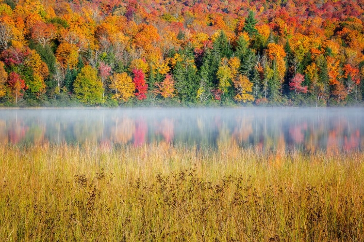 Picture of USA-NEW YORK-ADIRONDACKS LAKE PLACID-MORNING SUN AT CONNERY POND