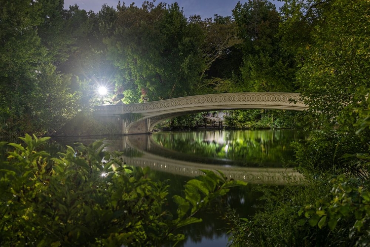 Picture of USA-NEW YORK CENTRAL PARK