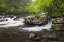 Picture of CASCADING MOUNTAIN STREAM-GREAT SMOKY MOUNTAINS NATIONAL PARK-TENNESSEE-NORTH CAROLINA