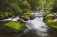 Picture of CASCADING MOUNTAIN STREAM-GREAT SMOKY MOUNTAINS NATIONAL PARK-TENNESSEE-NORTH CAROLINA