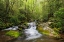 Picture of CASCADING MOUNTAIN STREAM-GREAT SMOKY MOUNTAINS NATIONAL PARK-TENNESSEE-NORTH CAROLINA
