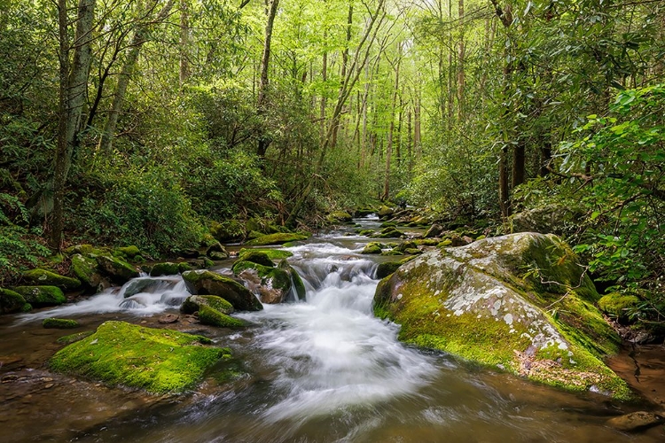 Picture of CASCADING MOUNTAIN STREAM-GREAT SMOKY MOUNTAINS NATIONAL PARK-TENNESSEE-NORTH CAROLINA