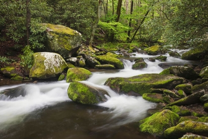 Picture of CASCADING MOUNTAIN STREAM-GREAT SMOKY MOUNTAINS NATIONAL PARK-TENNESSEE-NORTH CAROLINA