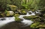 Picture of CASCADING MOUNTAIN STREAM-GREAT SMOKY MOUNTAINS NATIONAL PARK-TENNESSEE-NORTH CAROLINA