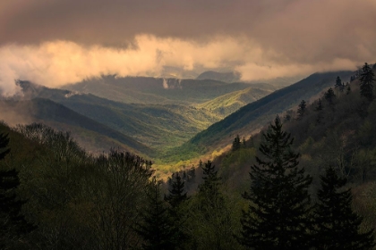 Picture of SUNRISE VIEW OF OCONALUFTEE VALLEY-GREAT SMOKY MOUNTAINS NATIONAL PARK-NORTH CAROLINA