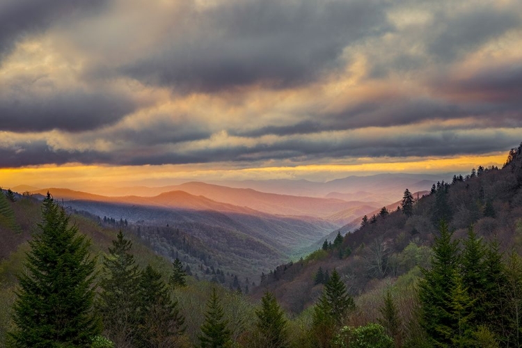 Picture of SUNRISE VIEW OF OCONALUFTEE VALLEY-GREAT SMOKY MOUNTAINS NATIONAL PARK-NORTH CAROLINA