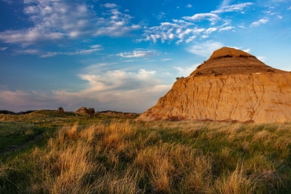 Picture of BADLANDS FORMATIONS IN THEODORE ROOSEVELT NATIONAL PARK-NORTH DAKOTA-USA