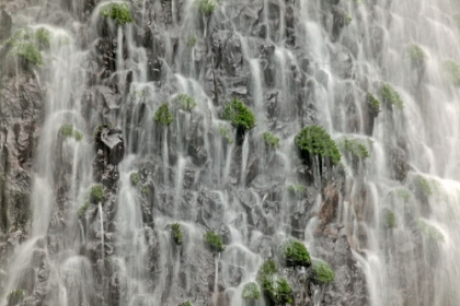 Picture of WATERFALL CLOSE-UP-COLUMBIA RIVER GORGE-OREGON
