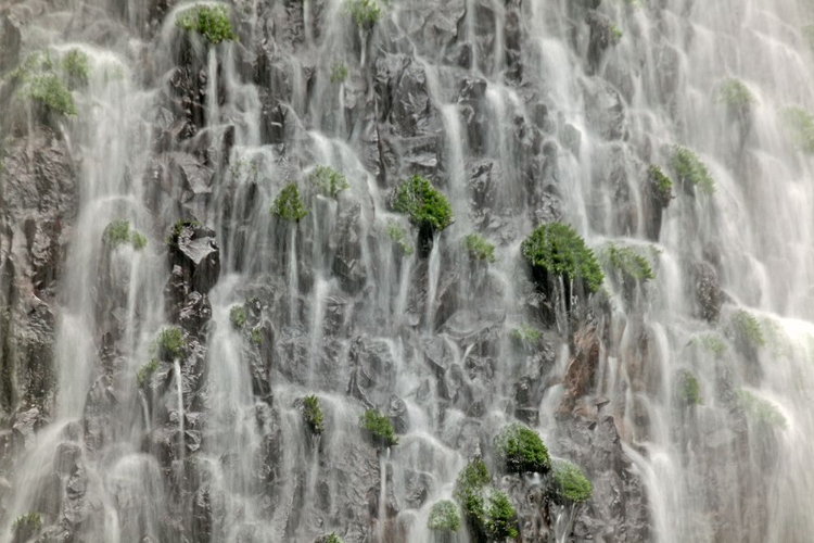 Picture of WATERFALL CLOSE-UP-COLUMBIA RIVER GORGE-OREGON