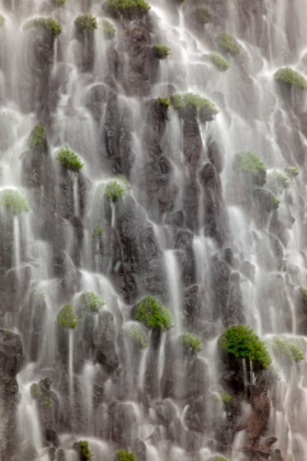 Picture of WATERFALL CLOSE-UP-COLUMBIA RIVER GORGE-OREGON