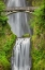 Picture of MULTNOMAH FALLS-COLUMBIA RIVER GORGE-OREGON