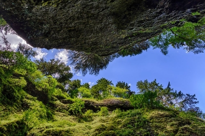 Picture of UPWARD VIEW FROM BOTTOM OF ONEONTA GORGE-COLUMBIA RIVER GORGE NATIONAL SCENIC AREA-OREGON