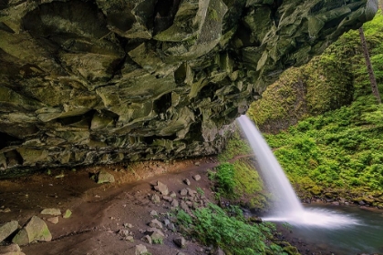 Picture of PONYTAIL FALLS-COLUMBIA RIVER GORGE-OREGON