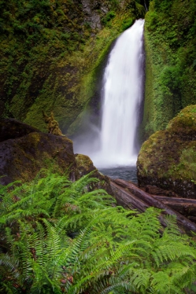 Picture of WAHCLELLA FALLS ALONG TANNER CREEK-COLUMBIA RIVER GORGE-OREGON