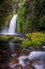 Picture of WAHCLELLA FALLS ALONG TANNER CREEK-COLUMBIA RIVER GORGE-OREGON