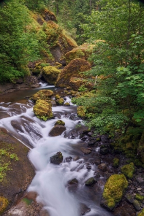 Picture of TANNER CREEK-COLUMBIA RIVER GORGE-OREGON