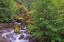 Picture of TANNER CREEK-COLUMBIA RIVER GORGE-OREGON