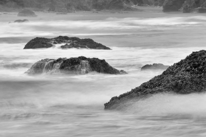 Picture of WAVES CRASHING ON ROCKS-BANDON BEACH-OREGON