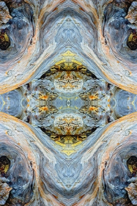 Picture of ABSTRACT PATTERN IN DRIFTWOOD-BANDON BEACH-OREGON