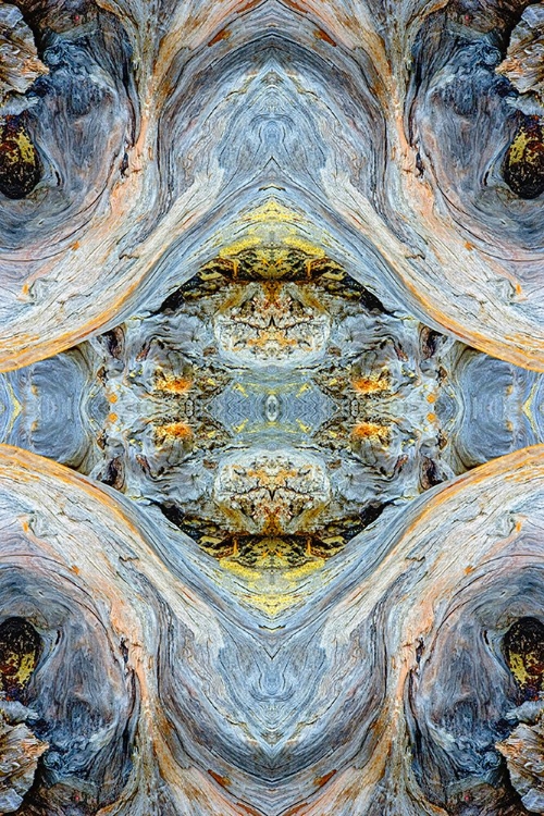 Picture of ABSTRACT PATTERN IN DRIFTWOOD-BANDON BEACH-OREGON