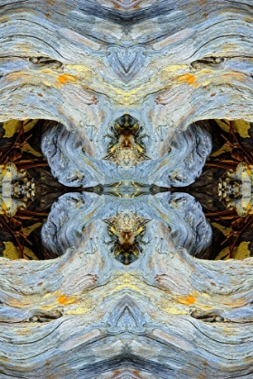 Picture of ABSTRACT PATTERN IN DRIFTWOOD-BANDON BEACH-OREGON