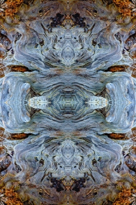 Picture of ABSTRACT PATTERN IN DRIFTWOOD-BANDON BEACH-OREGON