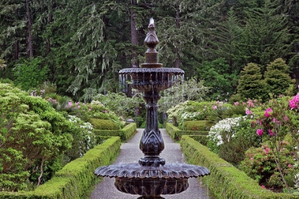 Picture of FOUNTAIN AND IN RHODODENDRON GARDEN-SHORE ACRES STATE PARK-COOS BAY-OREGON