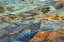 Picture of ROCK PATTERN IN ERODED COASTLINE-SHORE ACRES STATE PARK-COOS BAY-OREGON