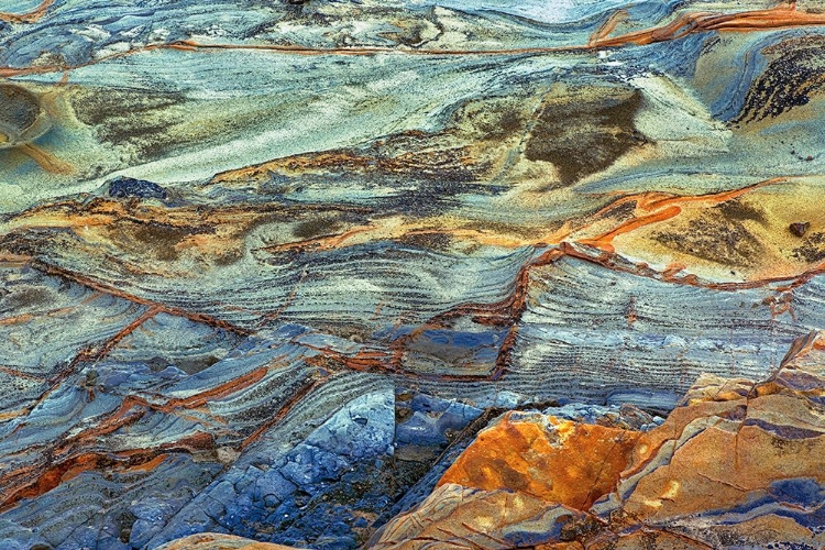 Picture of ROCK PATTERN IN ERODED COASTLINE-SHORE ACRES STATE PARK-COOS BAY-OREGON