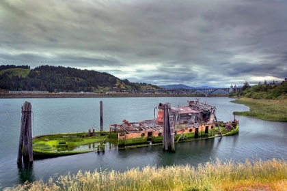 Picture of HISTORIC SHIPWRECK-MARY D HUME-A NATIONAL REGISTER OF HISTORIC PLACES-GOLD BEACH-OREGON