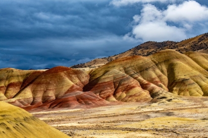 Picture of USA-JOHN DAY FOSSIL BEDS-PAINTED HILLS UNIT OVERLOOK