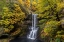 Picture of USA-OREGON-SILVER FALLS STATE PARK LOWER SOUTH FALLS WATERFALL LANDSCAPE