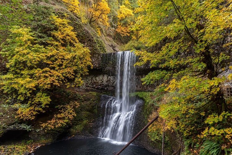 Picture of USA-OREGON-SILVER FALLS STATE PARK LOWER SOUTH FALLS WATERFALL LANDSCAPE