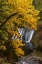 Picture of USA-OREGON-SILVER FALLS STATE PARK LOWER SOUTH FALLS WATERFALL LANDSCAPE
