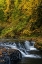 Picture of USA-OREGON-SILVER FALLS STATE PARK WATERFALLS AND FOREST IN AUTUMN