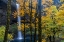 Picture of USA-OREGON-SILVER FALLS STATE PARK TALL WATERFALL AND FOREST IN AUTUMN