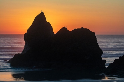 Picture of HUMBUG POINT AT SUNSET NEAR CANNON BEACH-OREGON-USA
