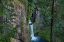 Picture of TOKETEE FALLS RUNS OVER BASALT COLUMNS IN THE UMPQUA NATIONAL FOREST-OREGON-USA