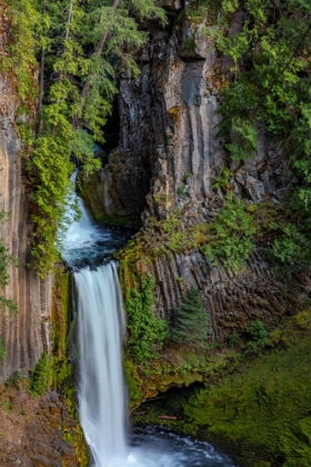 Picture of TOKETEE FALLS RUNS OVER BASALT COLUMNS IN THE UMPQUA NATIONAL FOREST-OREGON-USA